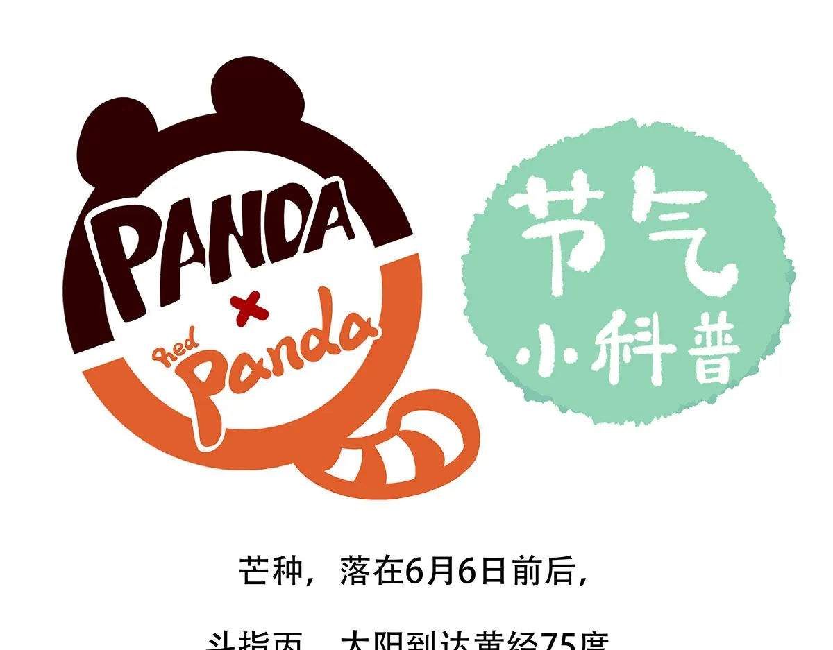 第133话 第26页