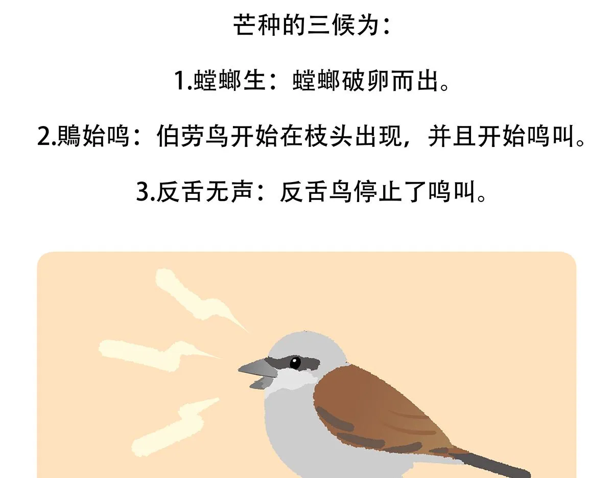 第133话 第30页