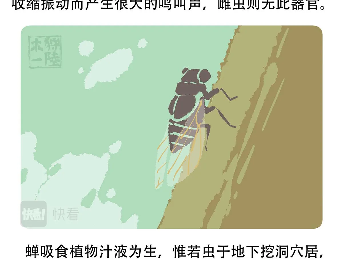 第134话 第21页