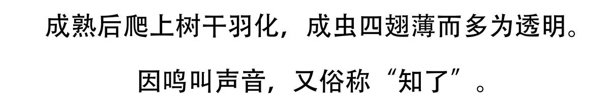 第134话 第22页