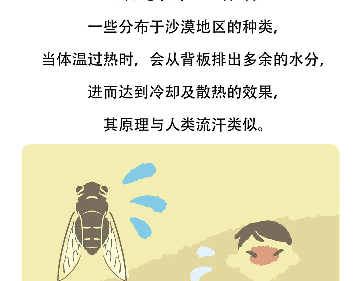 第134话 第24页