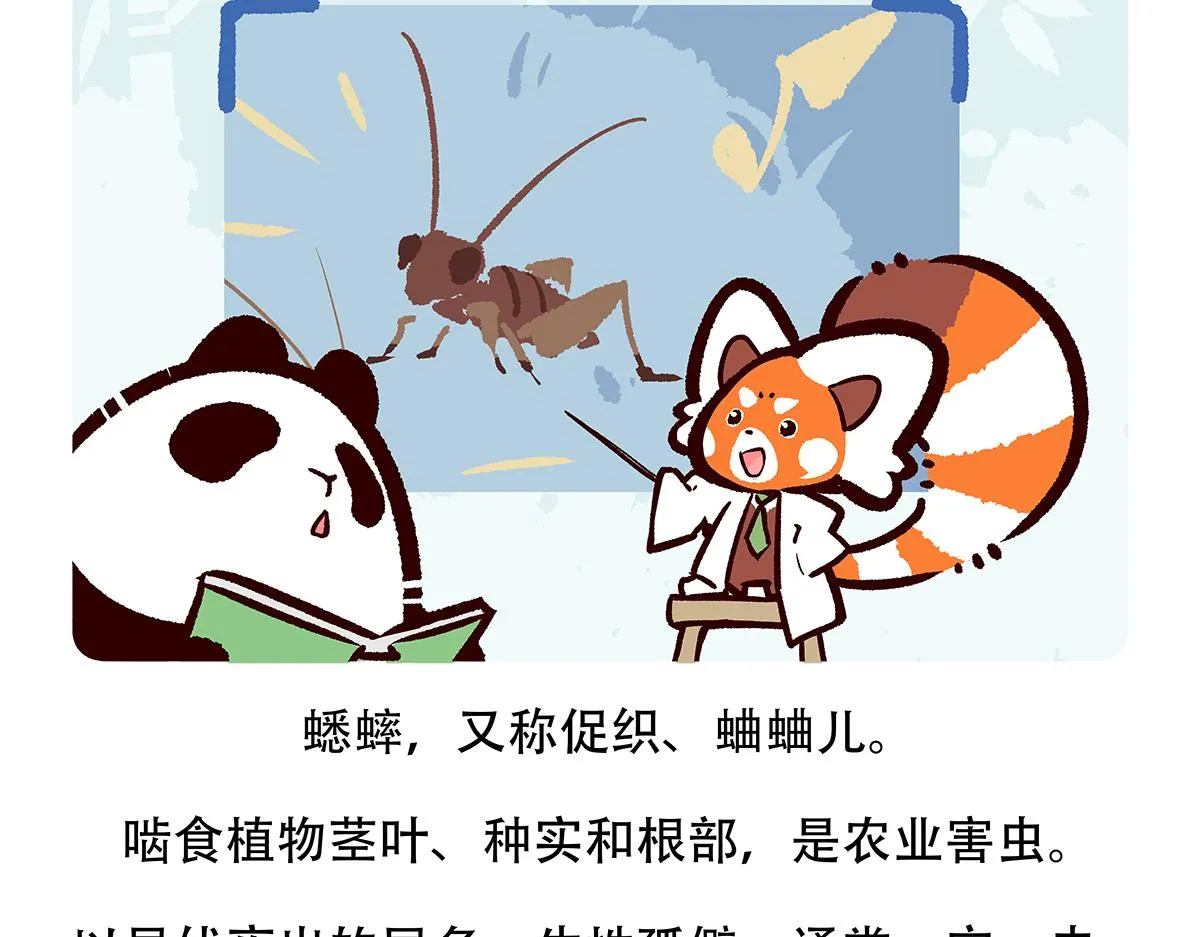 第136话 第20页