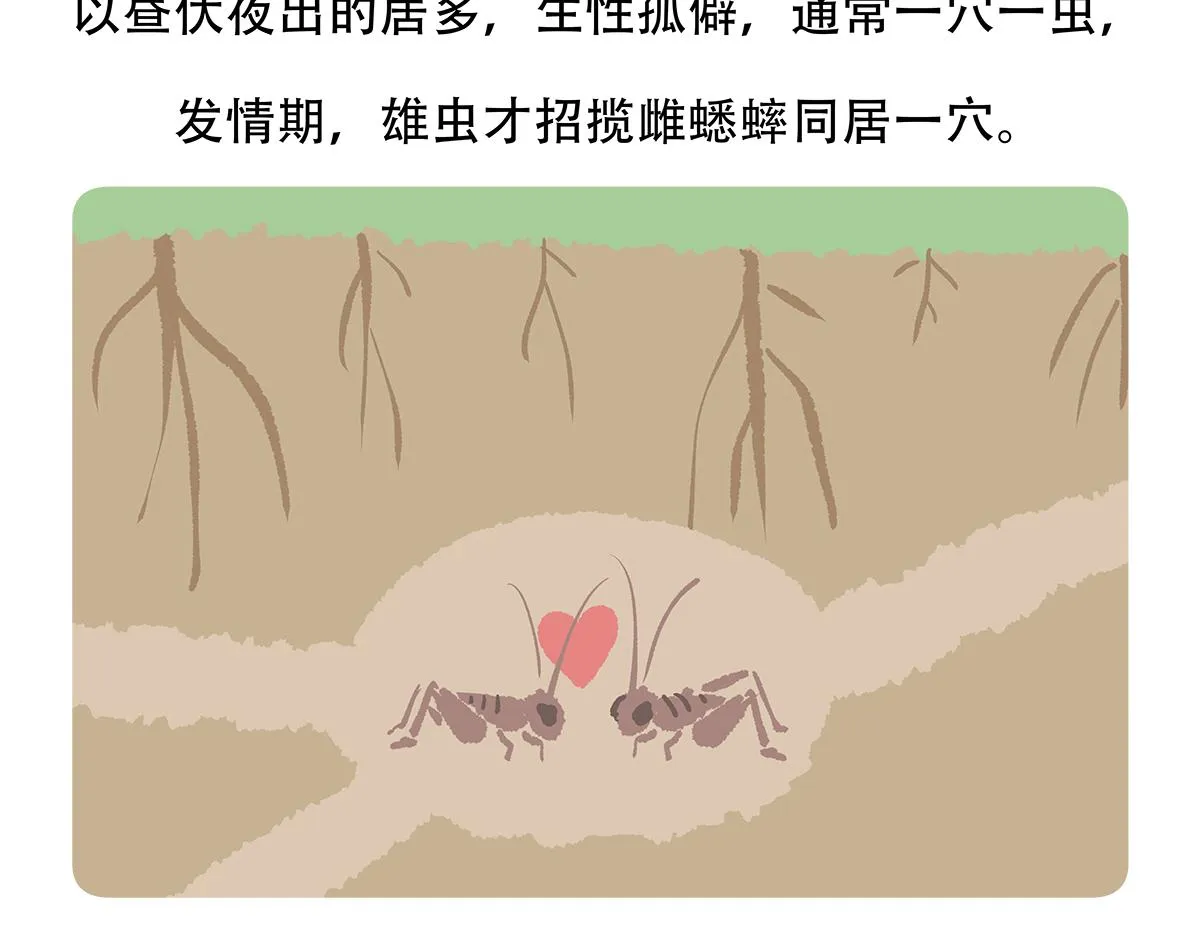 第136话 第21页