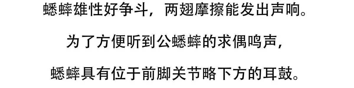 第136话 第22页