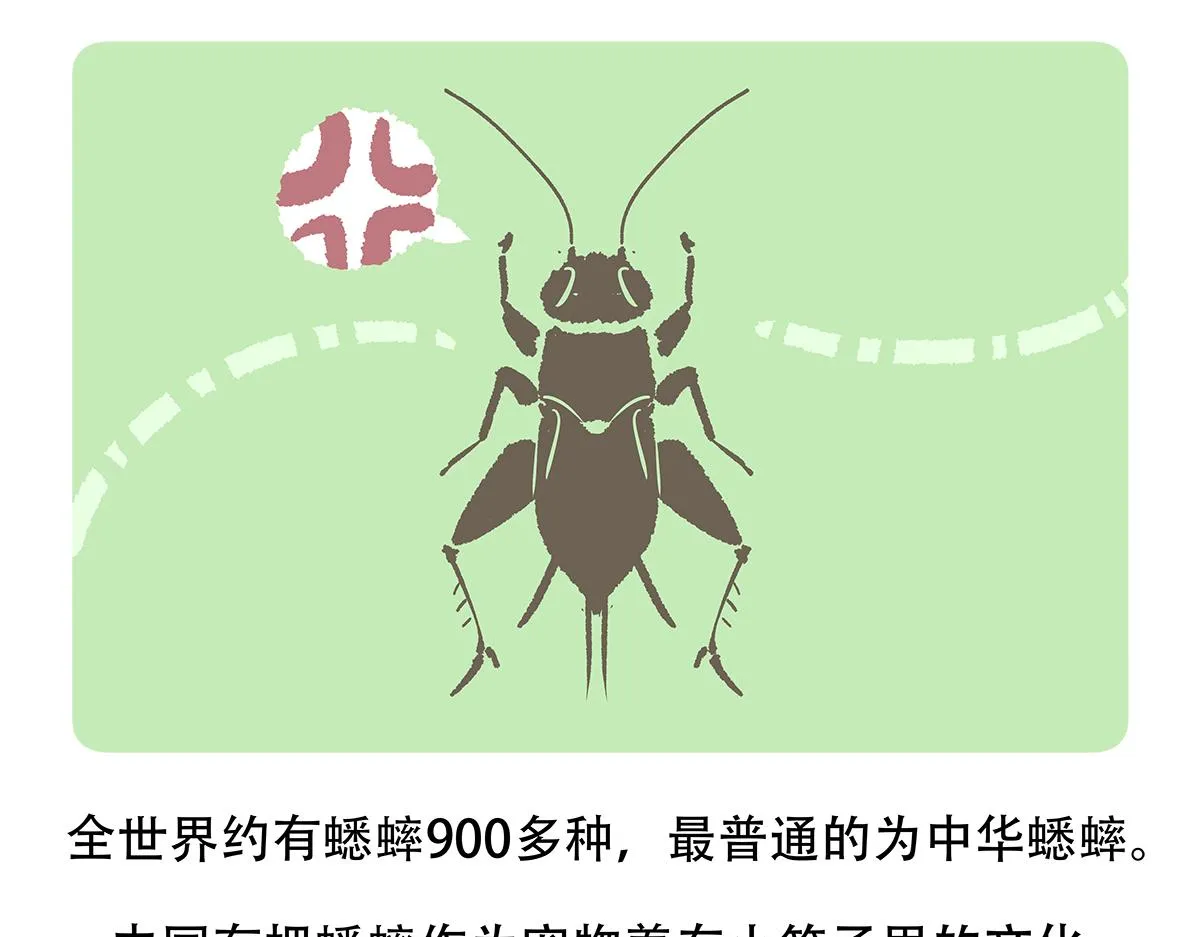 第136话 第23页