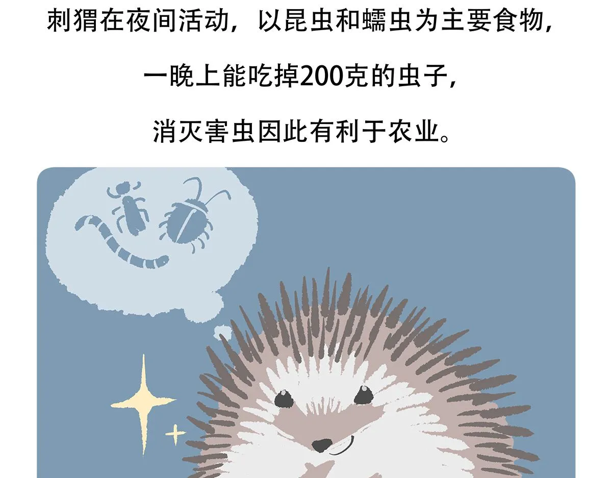 第137话 第24页