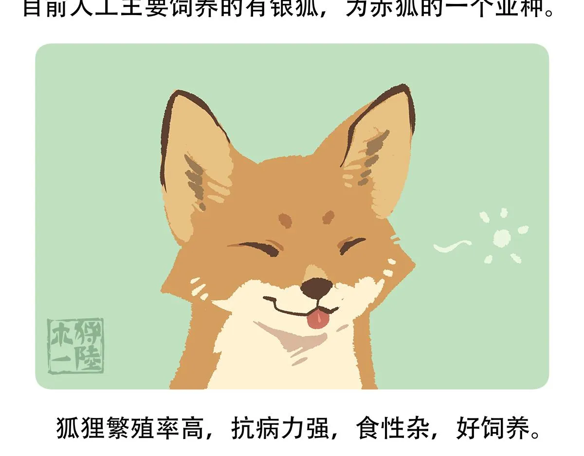 第138话 第21页