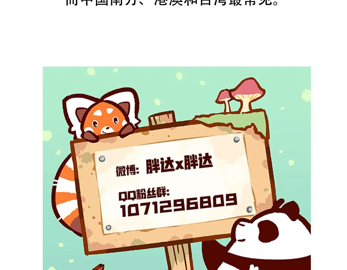 第138话 第32页