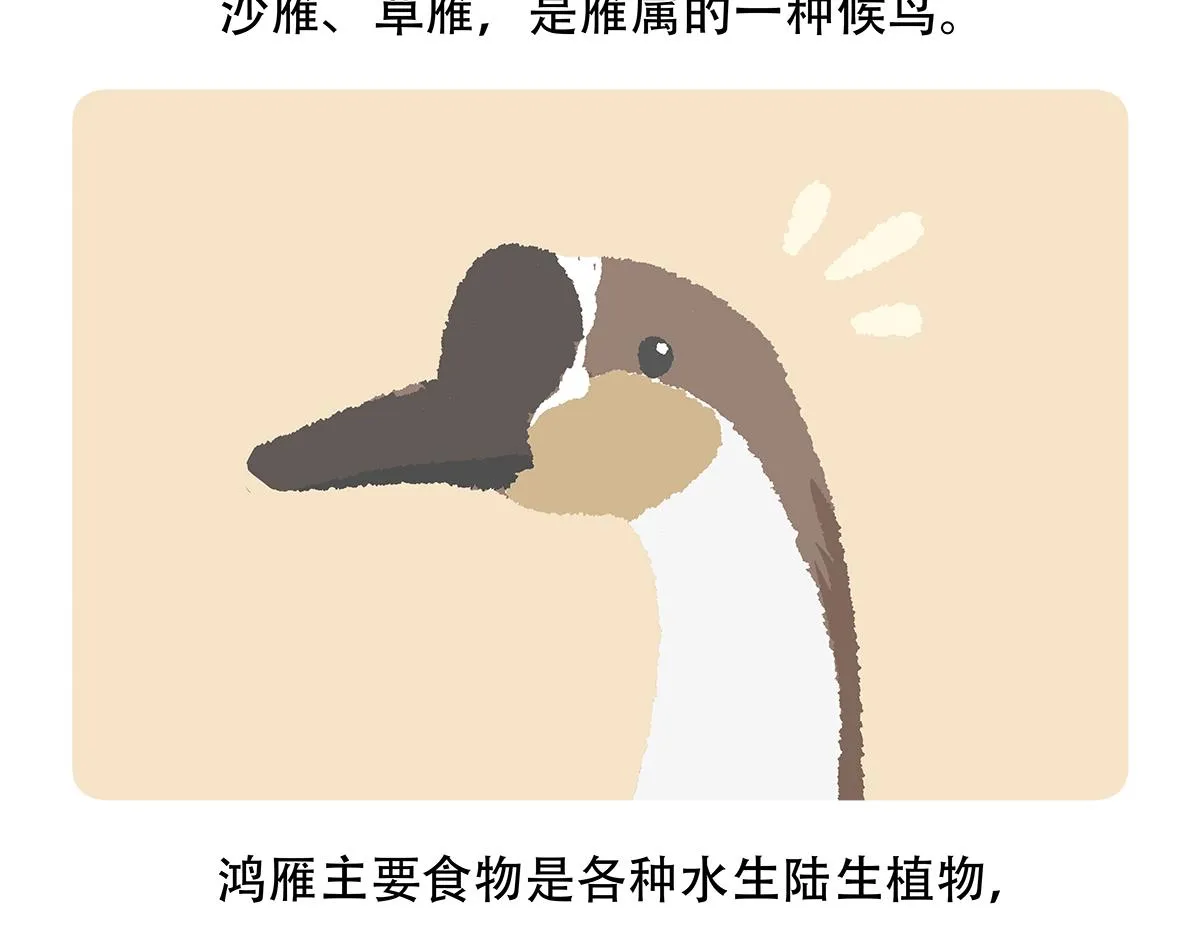 第139话 第22页