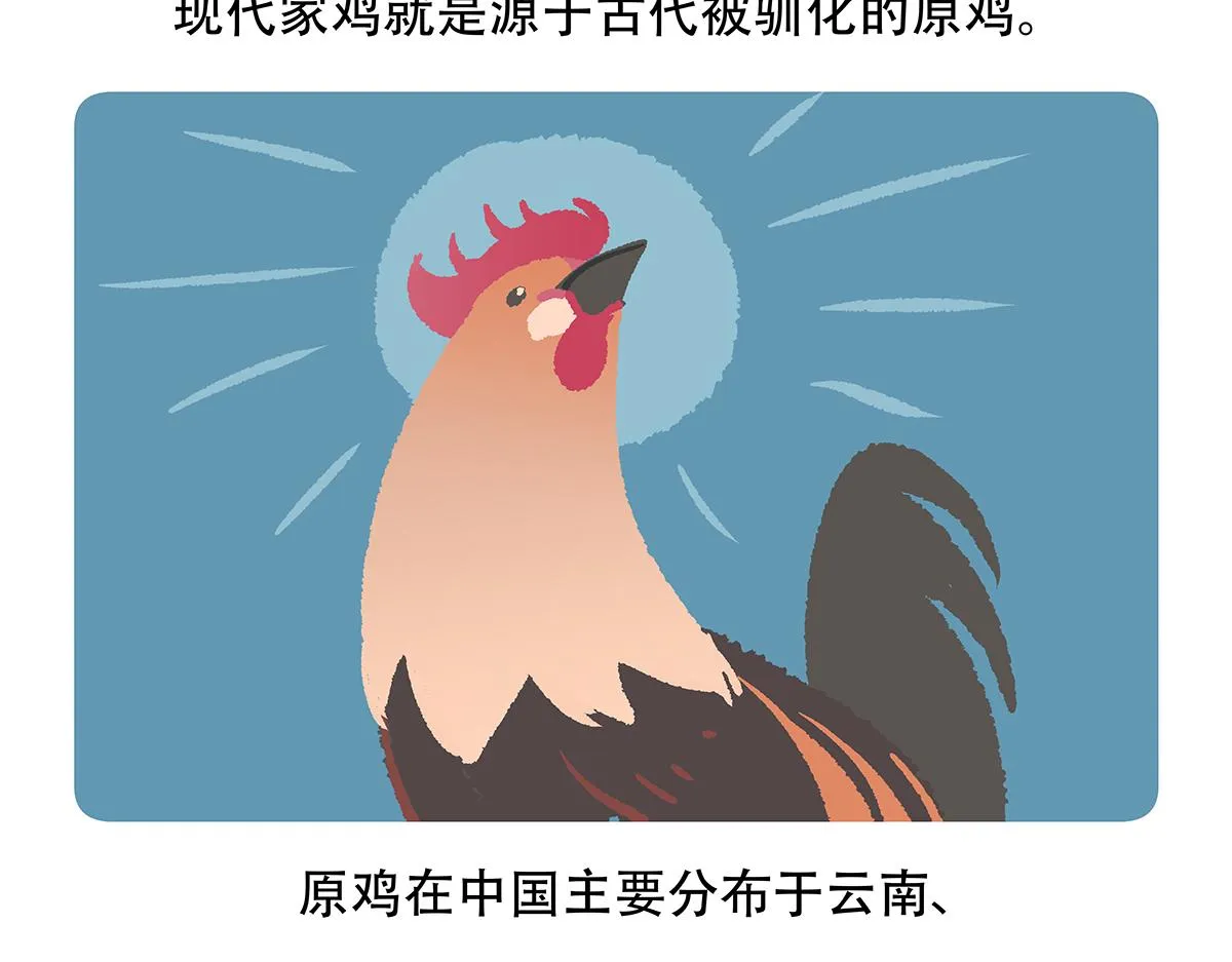 第140话 第22页