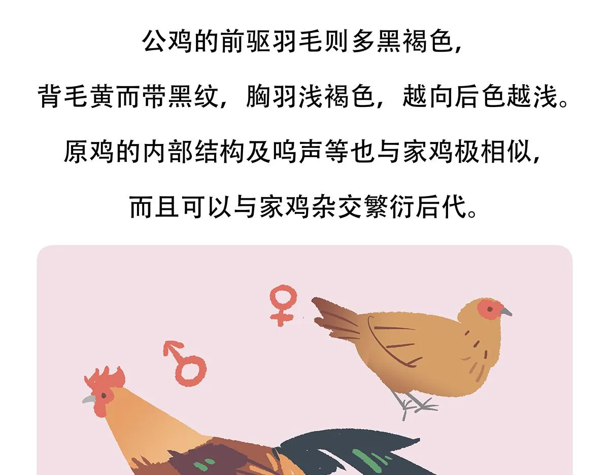 第140话 第25页