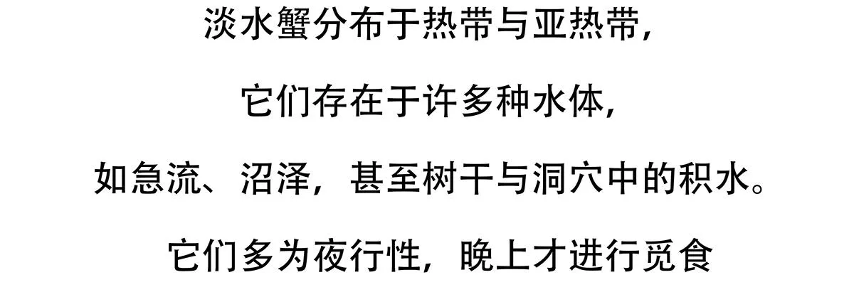 第141话 第22页