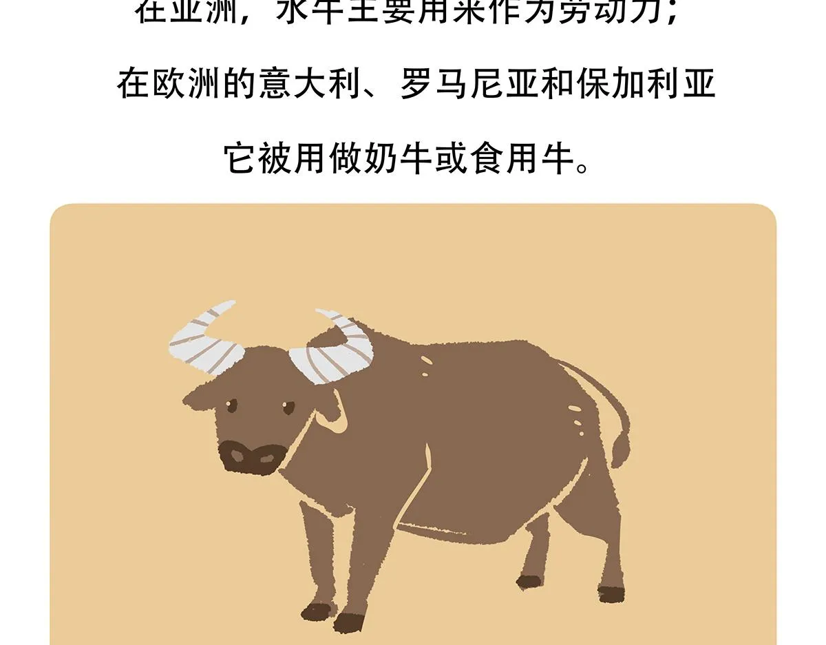 第143话 第21页