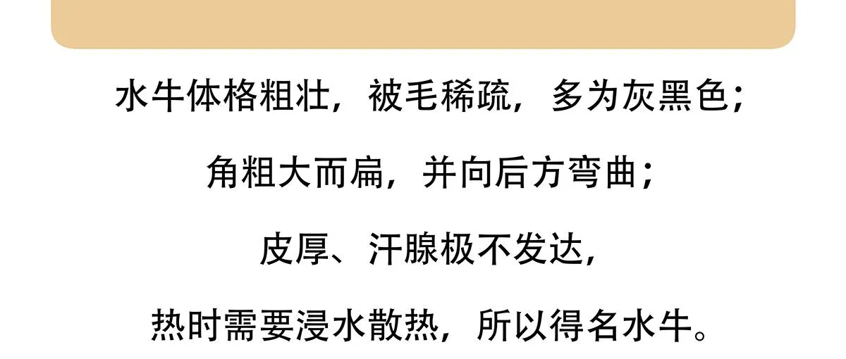 第143话 第22页