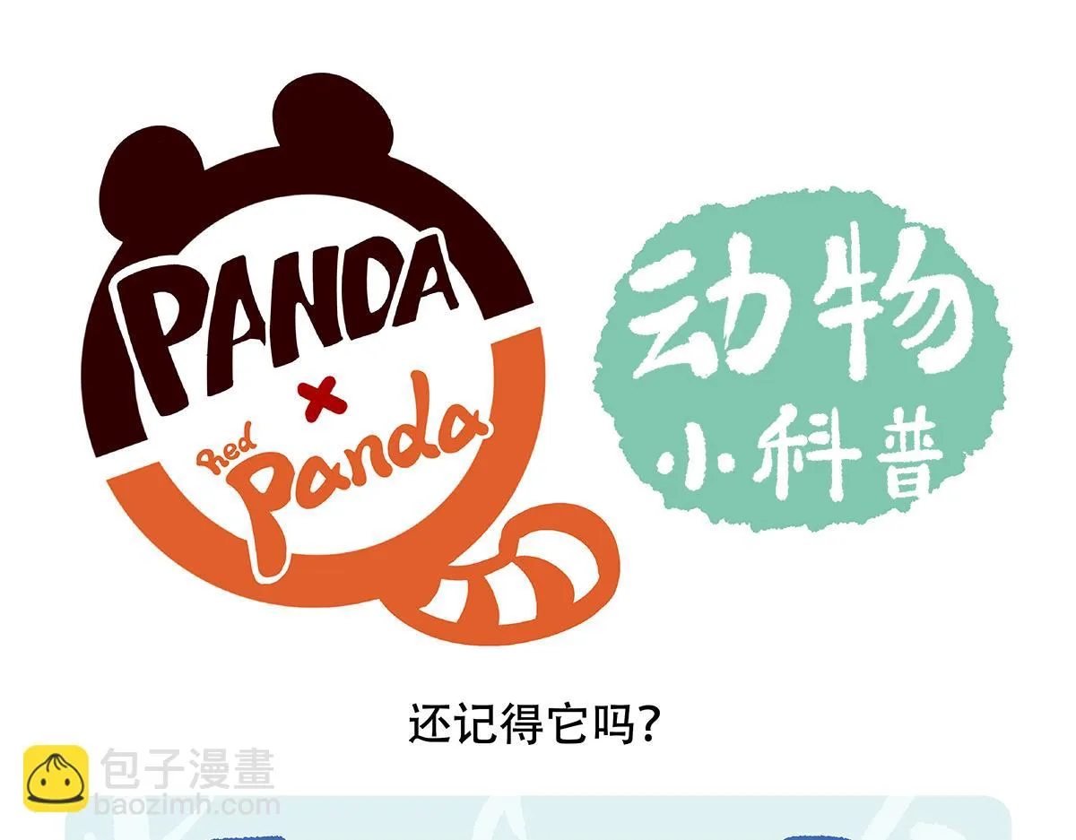 第144话 第19页