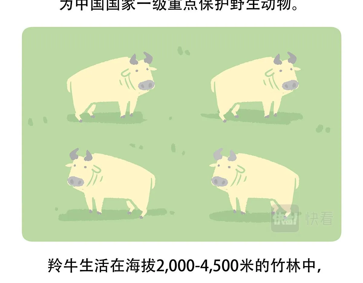 第144话 第21页