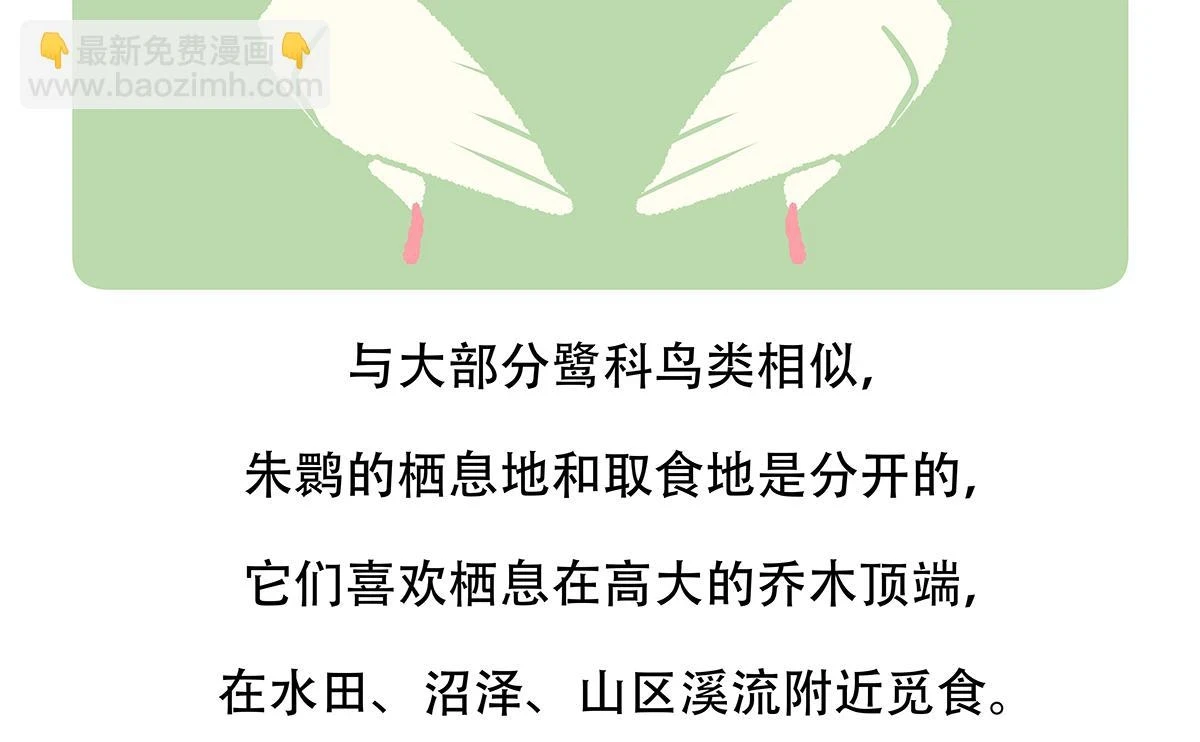 第145话 第23页