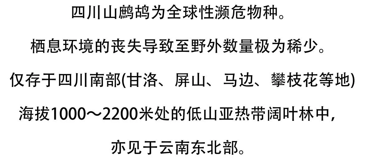 第146话 第22页