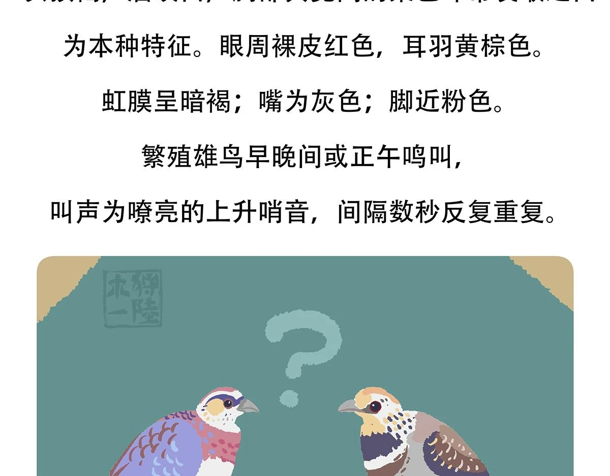 第146话 第24页