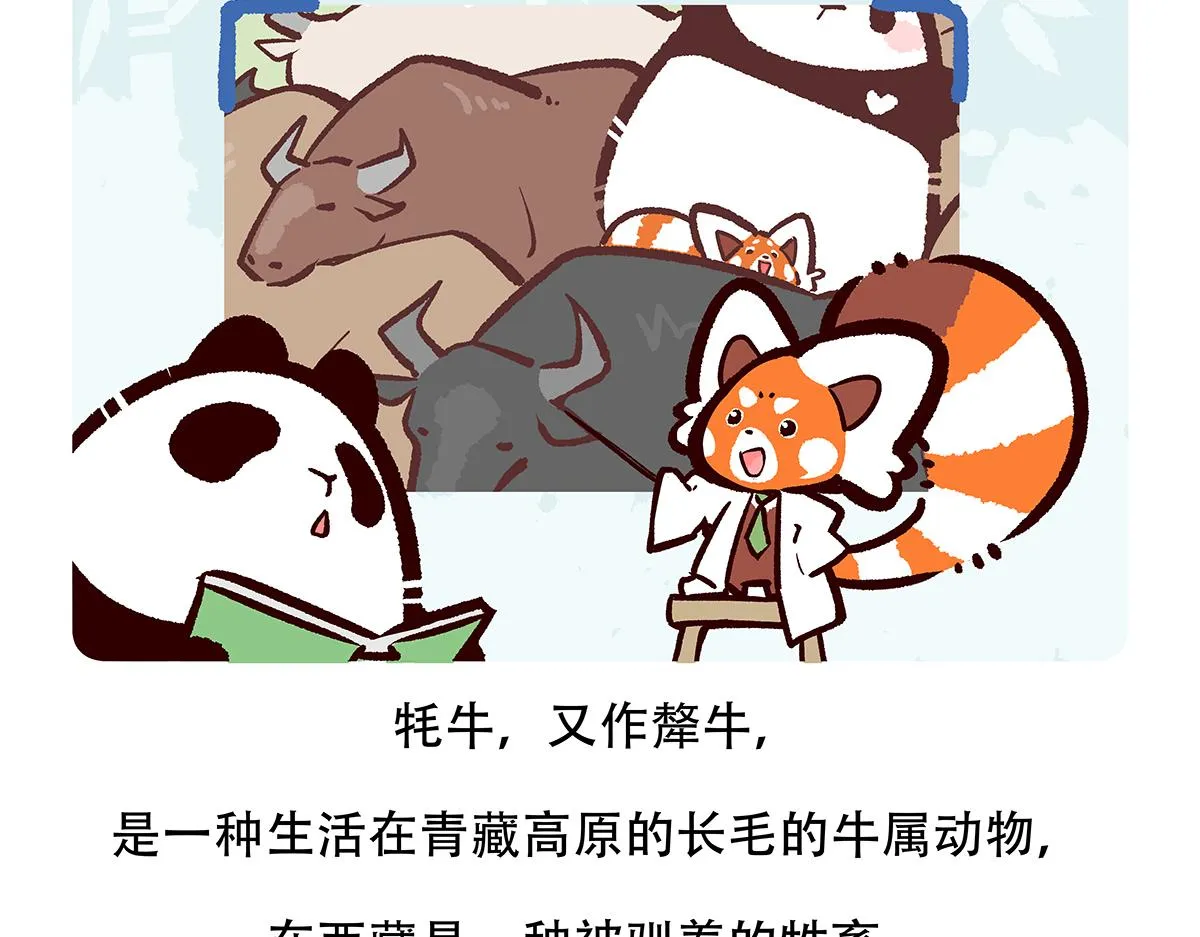 第147话 第21页