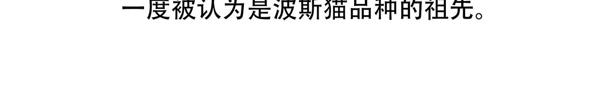 第148话 第26页
