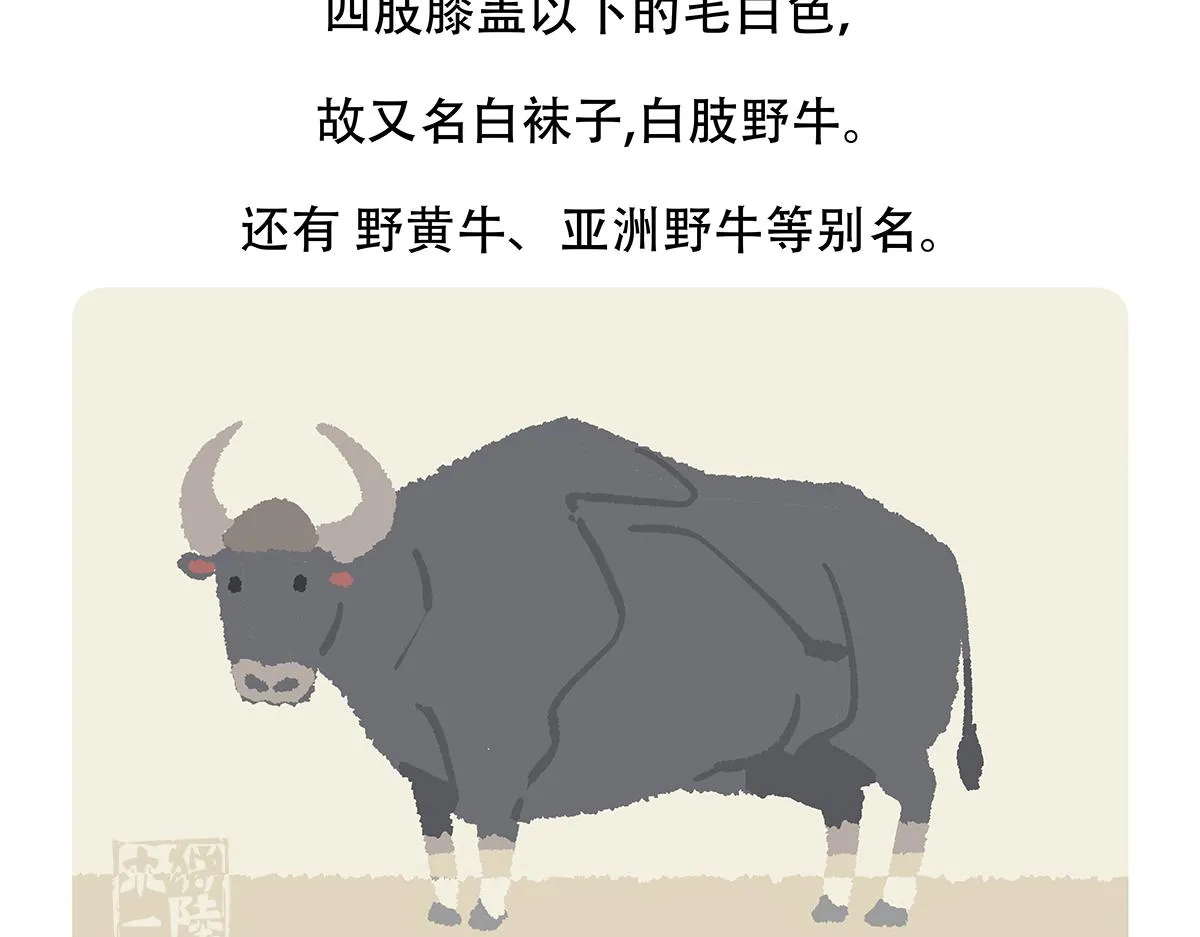 第156话 第20页