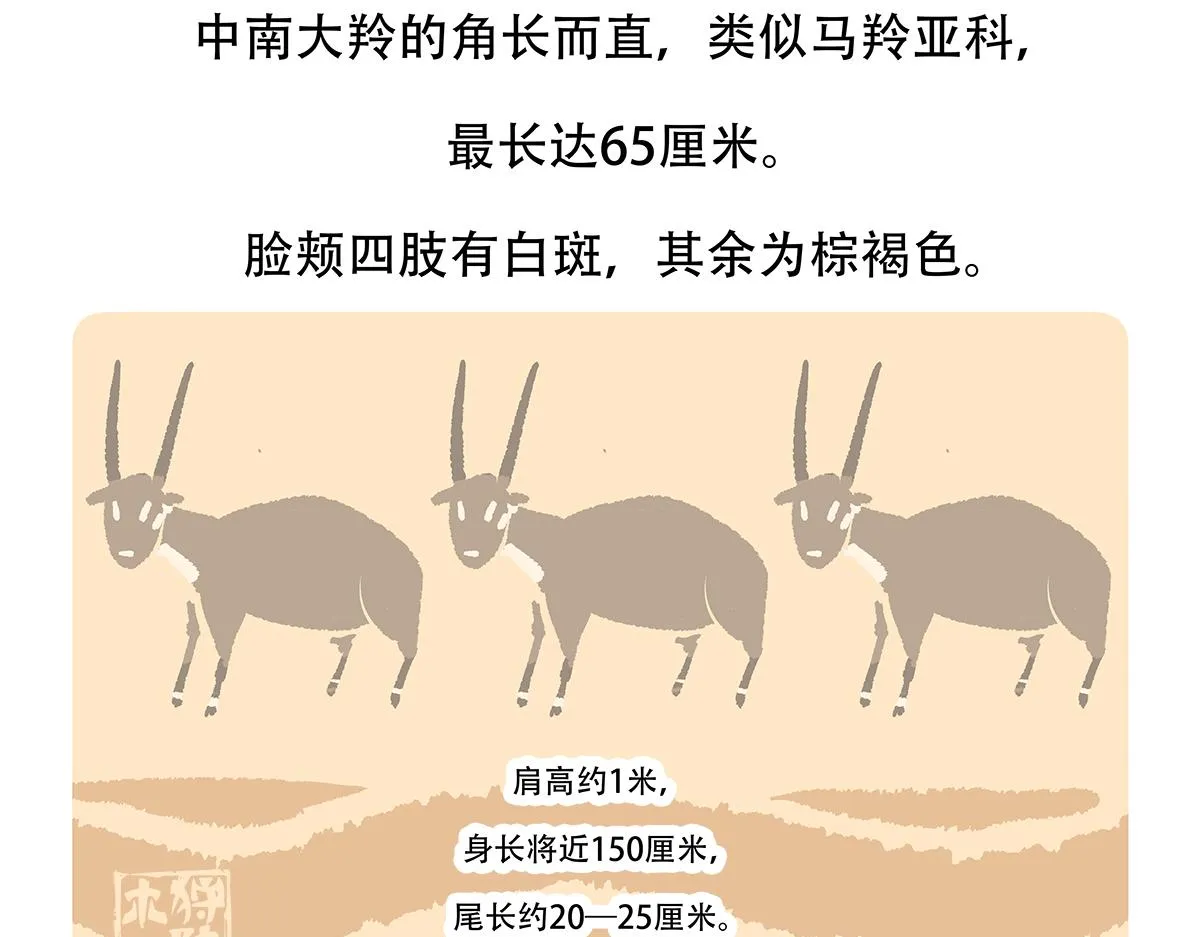 第156话 第30页