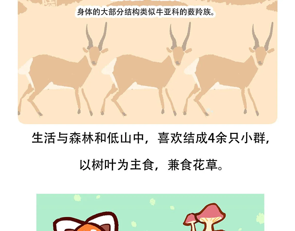 第156话 第31页