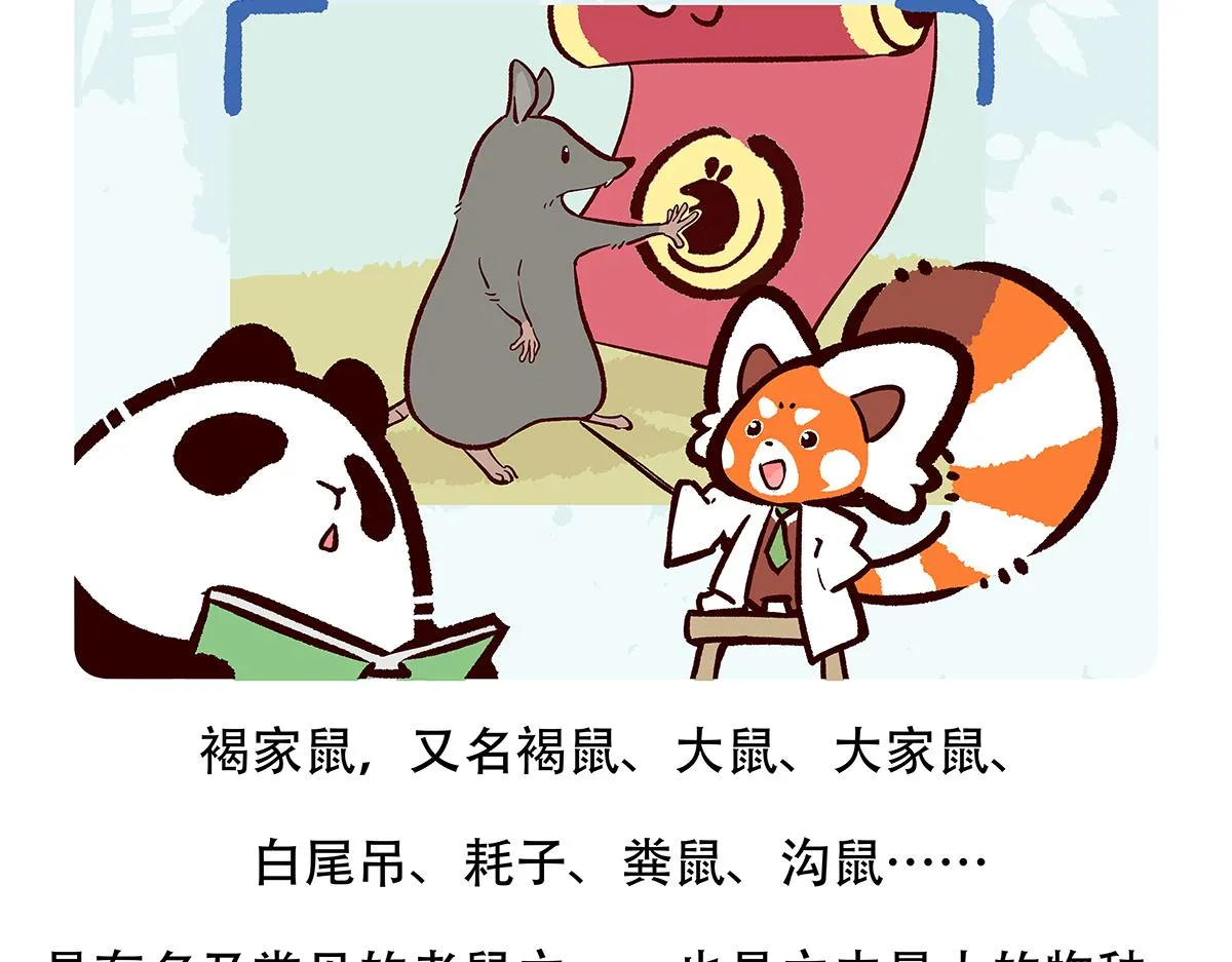 第154话 第20页