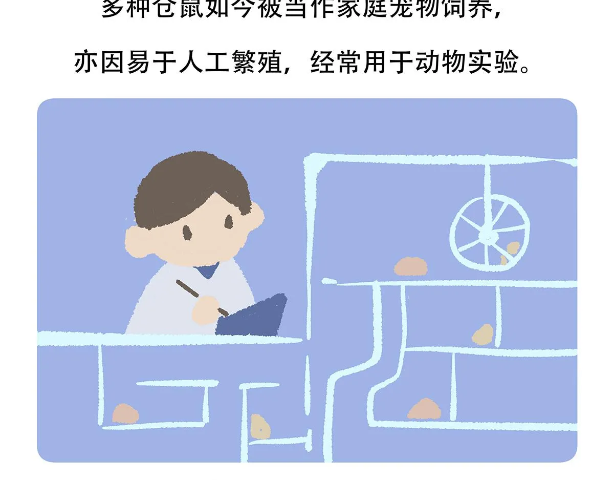 第152话 第21页