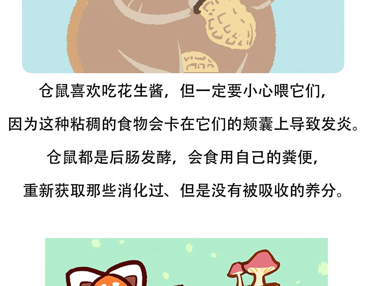 第152话 第32页