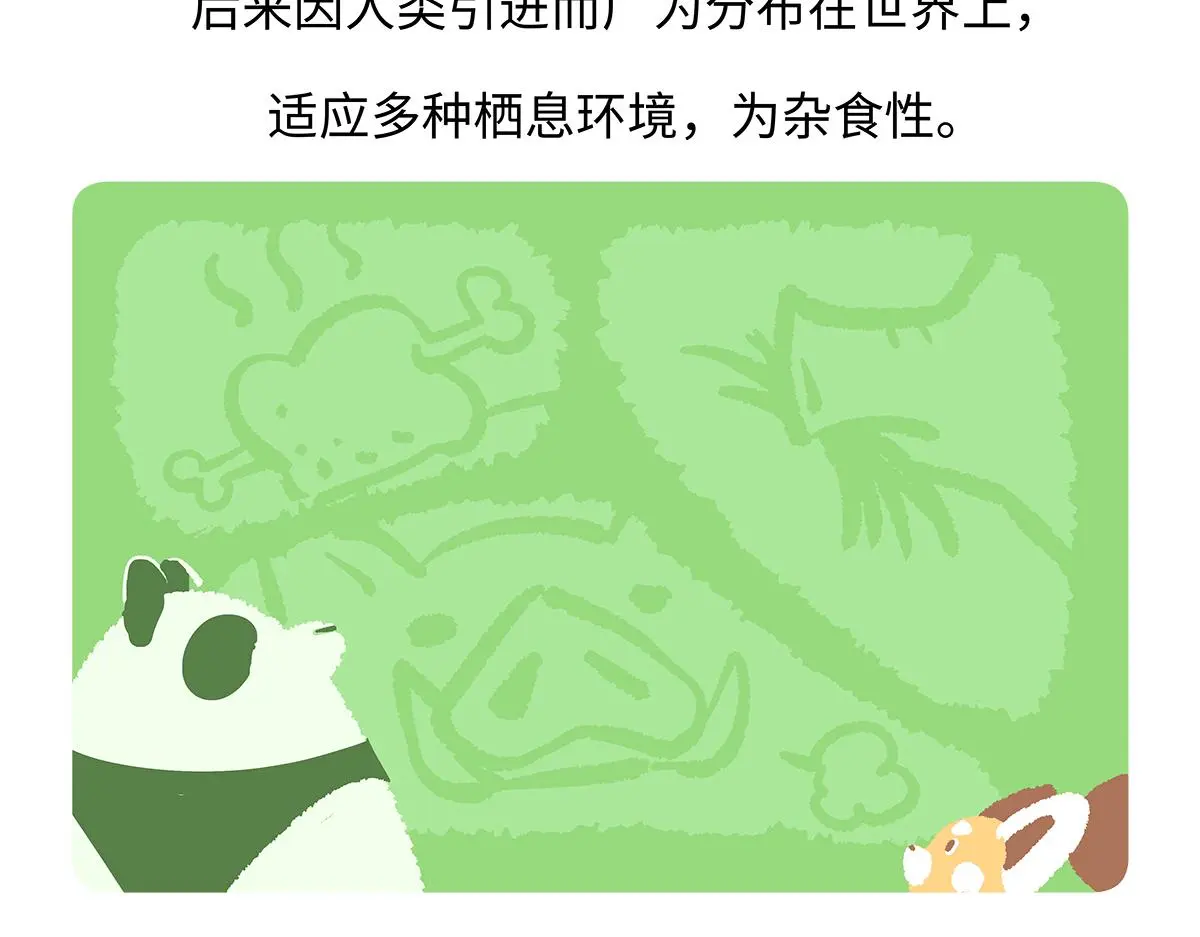 第178话 第19页