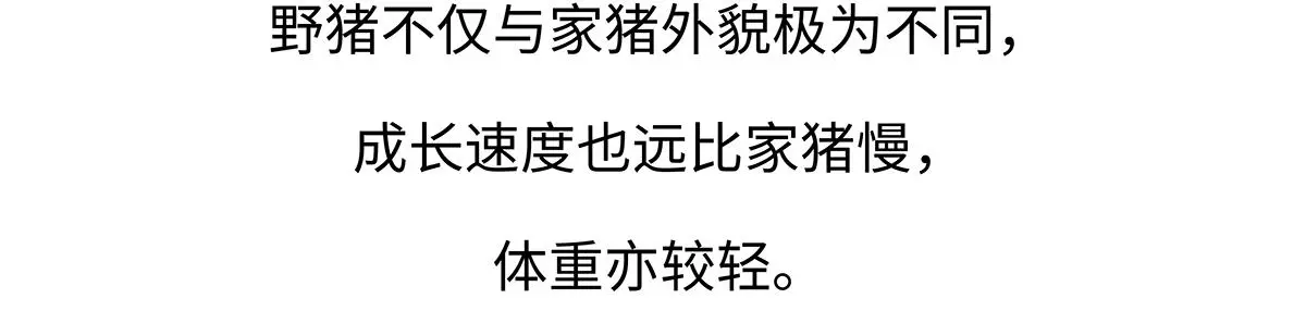 第178话 第20页