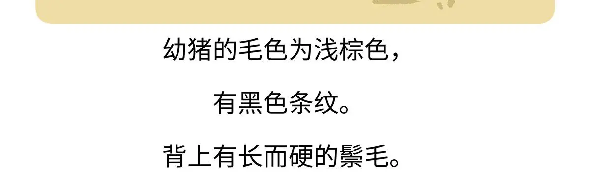 第178话 第23页