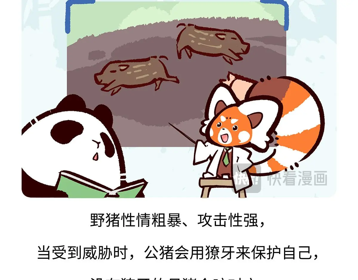 第178话 第25页