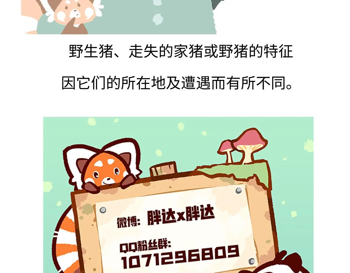 第178话 第30页