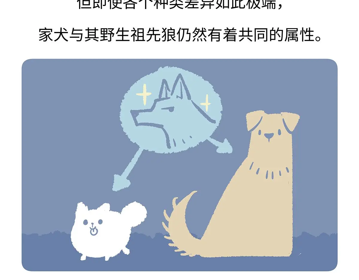 第177话 第19页