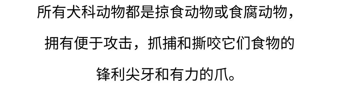 第177话 第20页