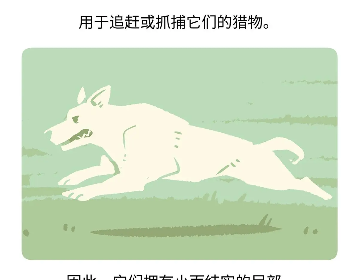 第177话 第22页