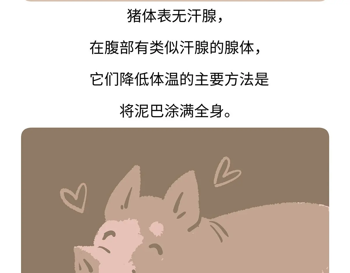 第176话 第22页