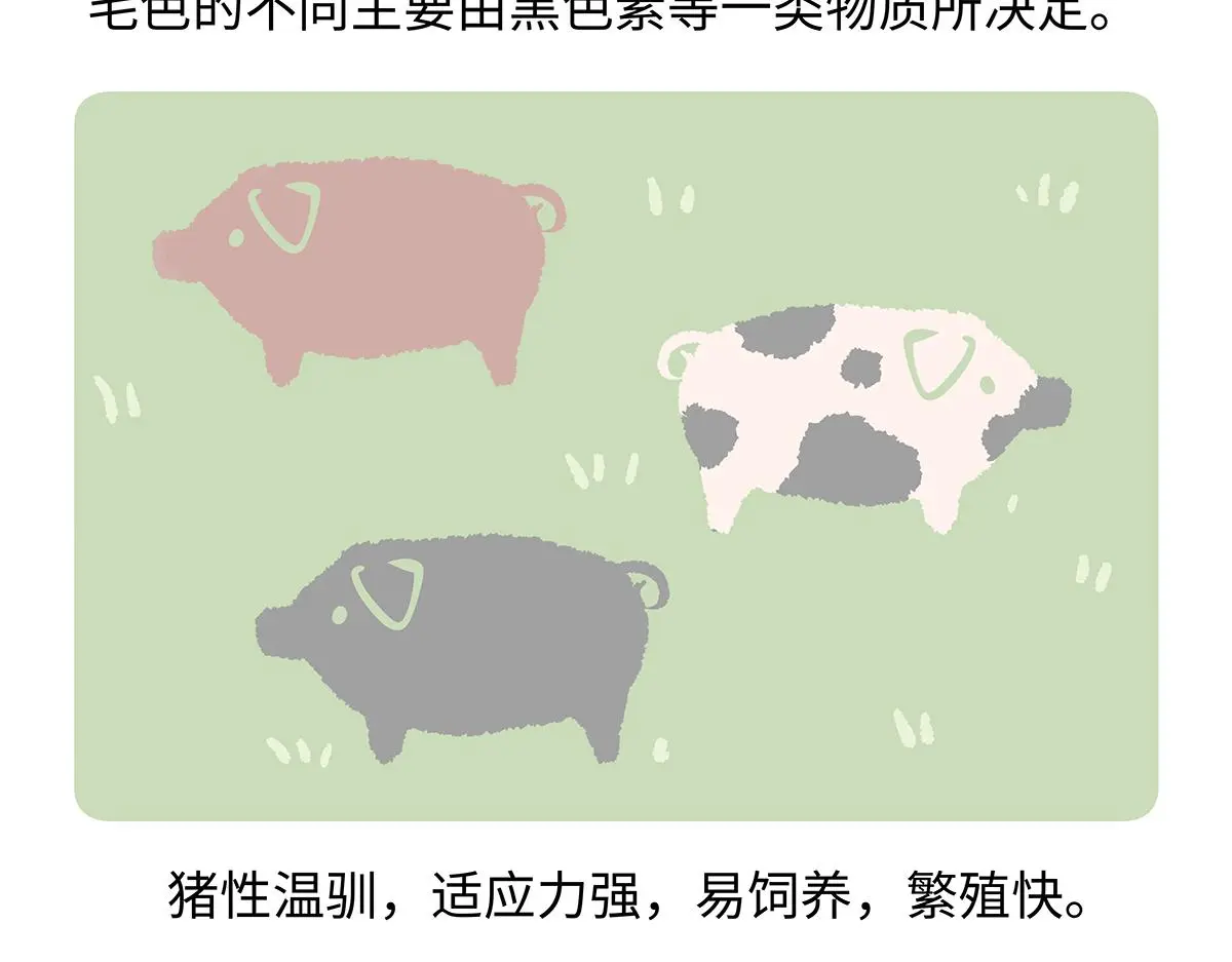 第175话 第27页