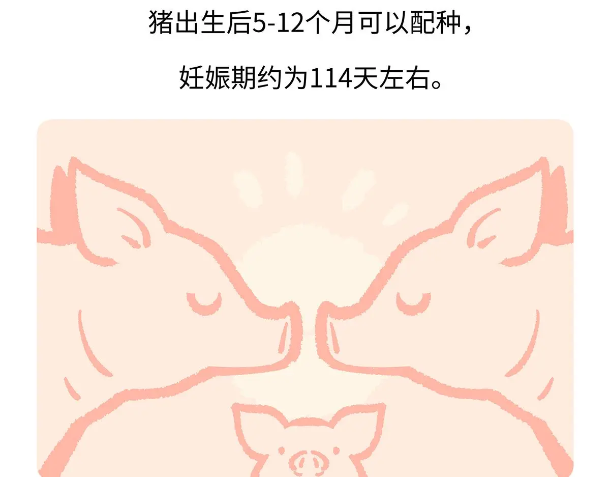 第175话 第28页