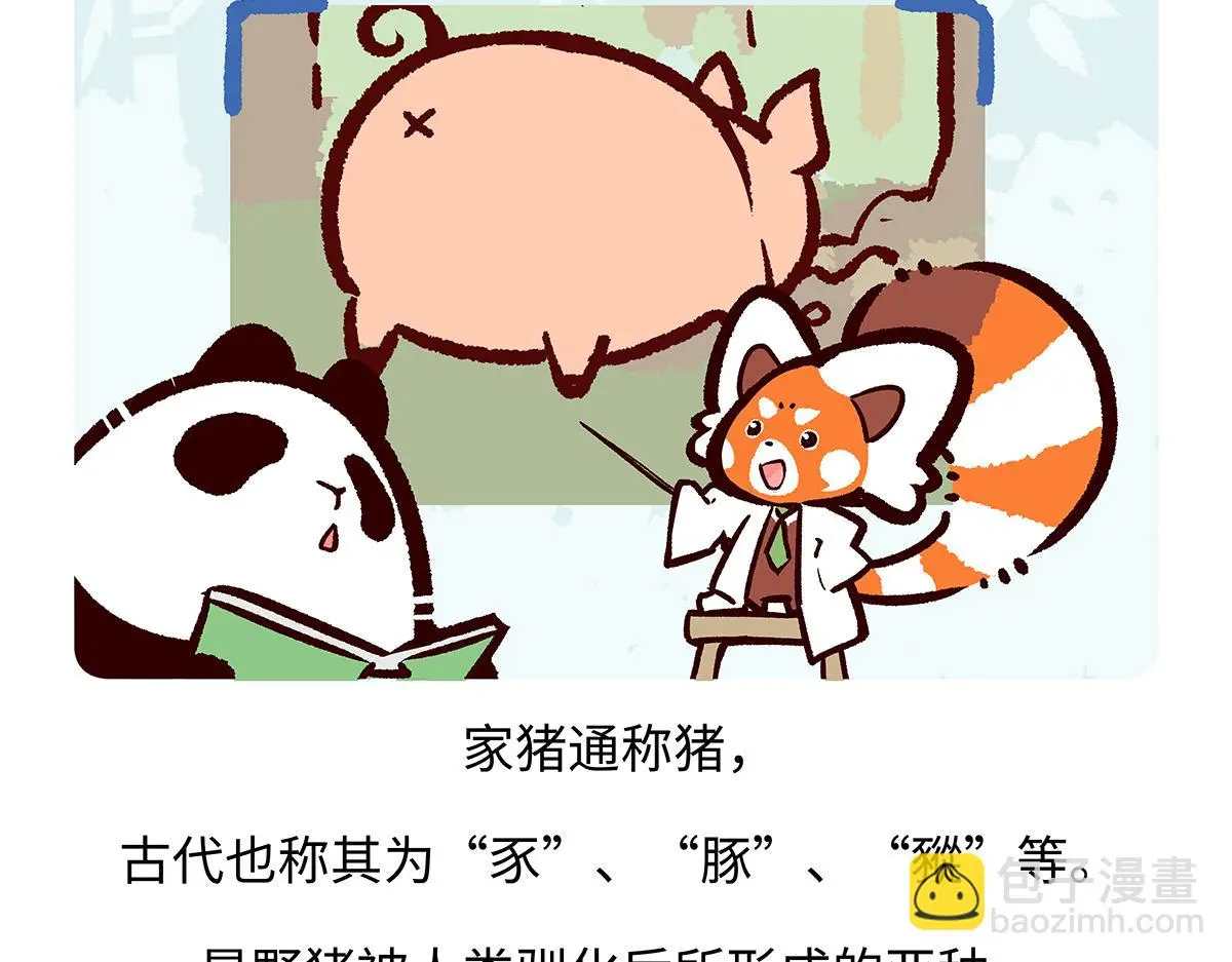 第174话 第17页