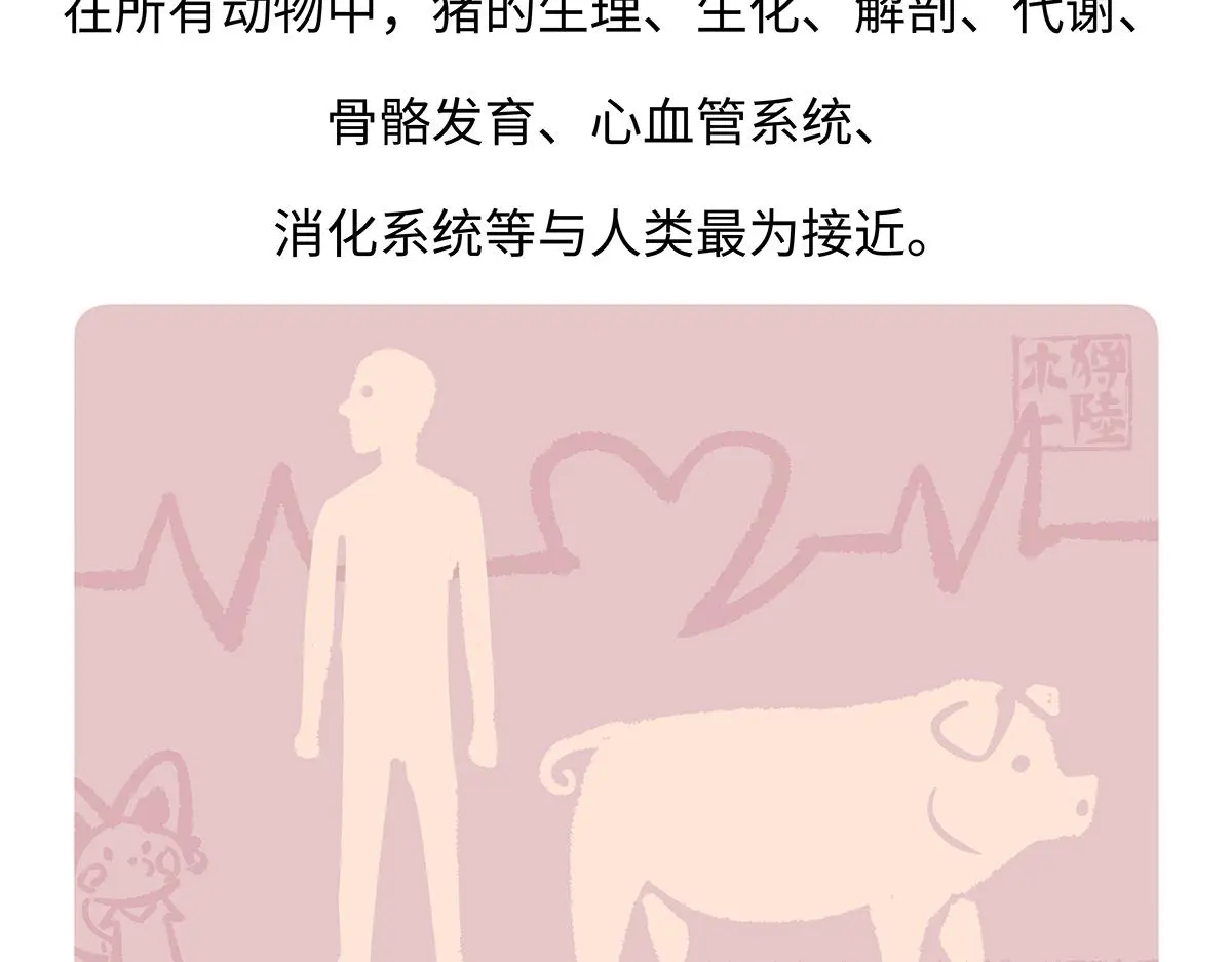 第174话 第25页