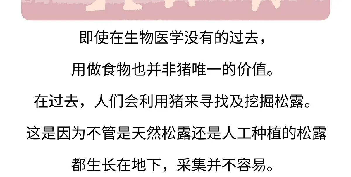 第174话 第26页