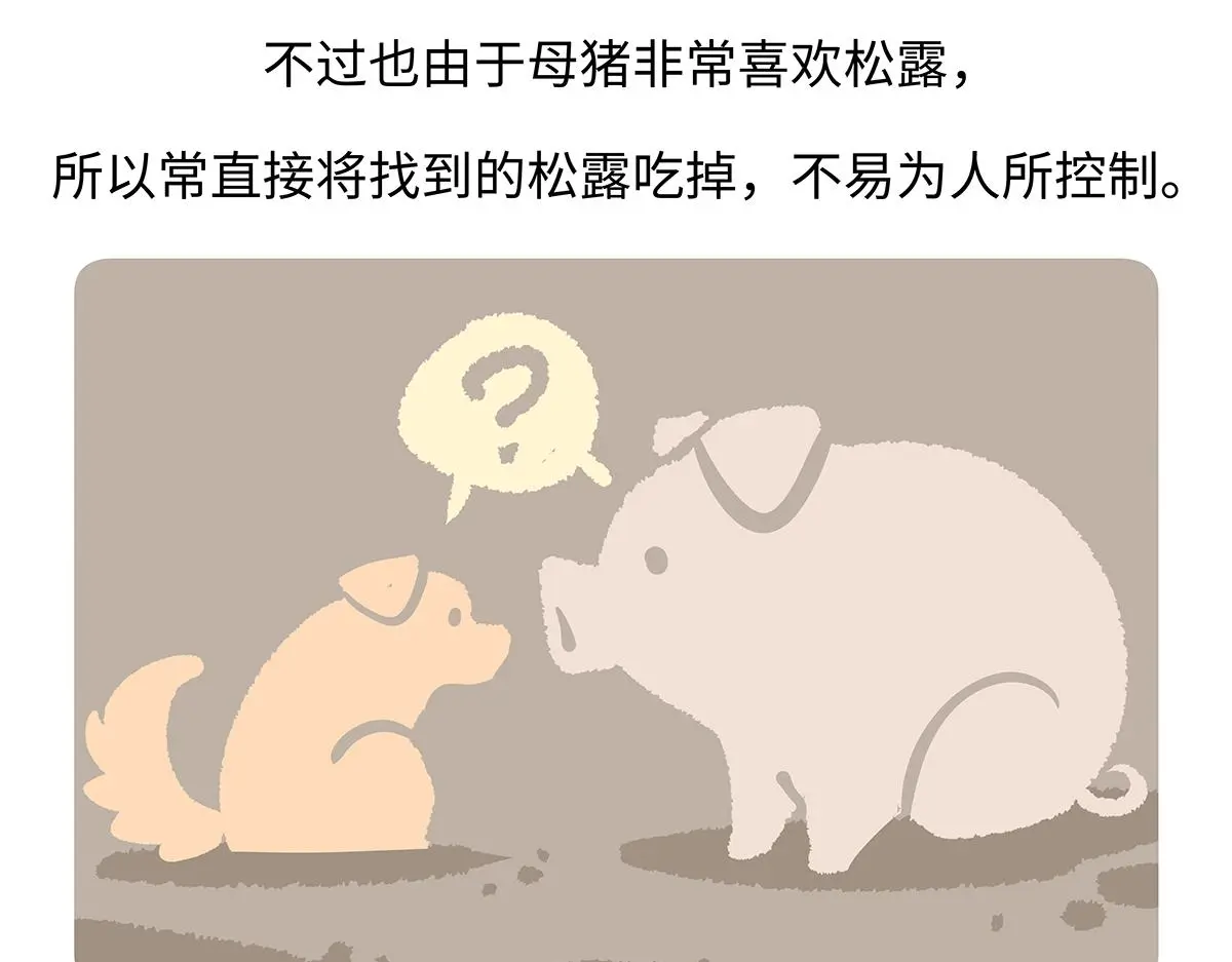 第174话 第28页