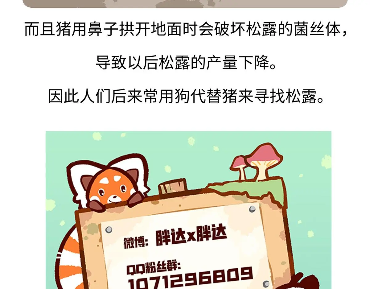 第174话 第29页