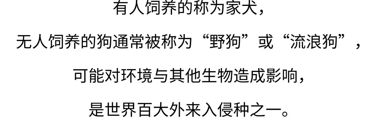 第173话 第20页
