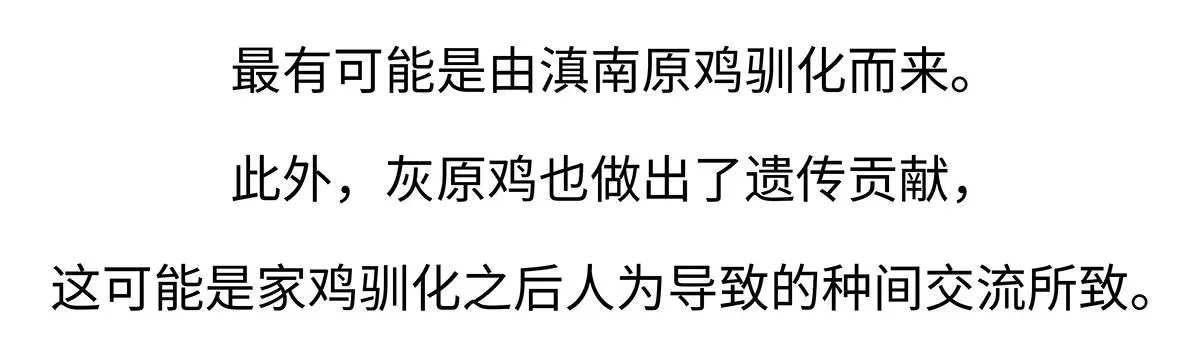 第172话 第22页