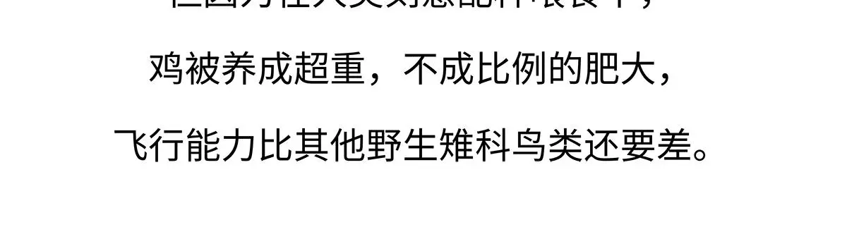 第172话 第25页